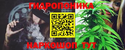гашик Малгобек