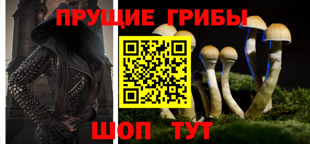 Галлюциногенные грибы мицелий Дедовск