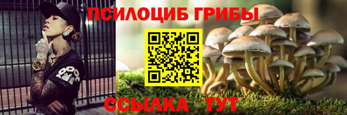 Галлюциногенные грибы Cubensis  Вход с VPN  Дедовск 